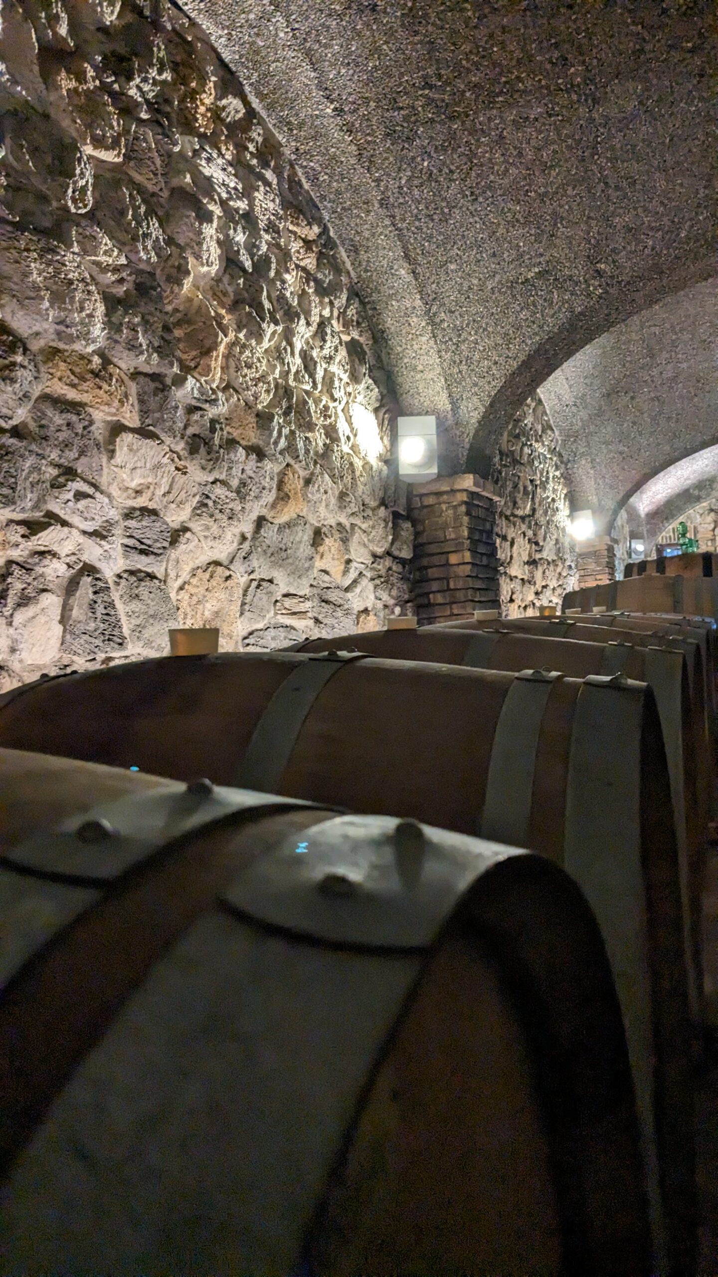 Botti in cantina