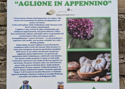 Targa progetto aglione