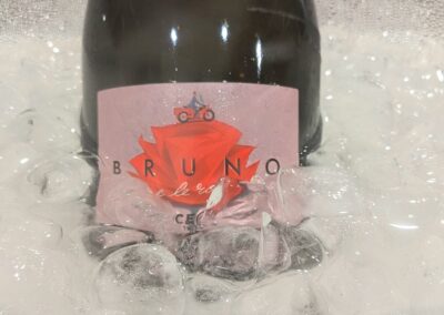 bottiglia di lambrusco in ghiaccio